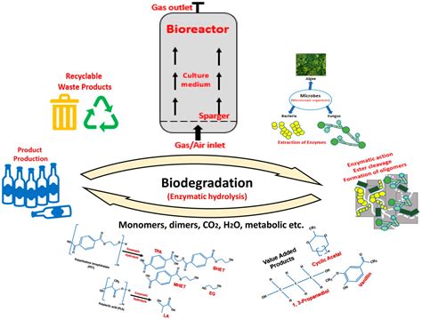 Microbial Fermentation Cell Banking