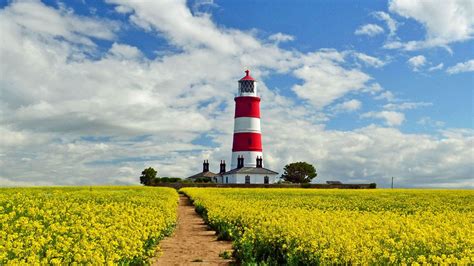 Happisburgh Lighthouse at oil seed rape field on a sunny summer day, Norfolk, England, UK ...