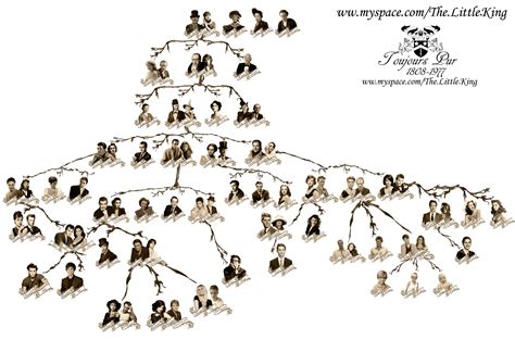 The House of Black Family Tree by RegulusArcturus on DeviantArt