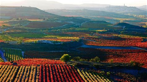 Discover La Rioja, Spain - Lonely Planet Video