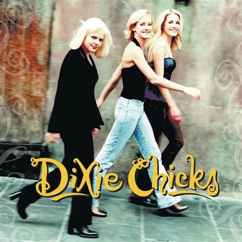 Dixie Chicks - Wide Open Spaces (Vinyl LP) - Amoeba Music