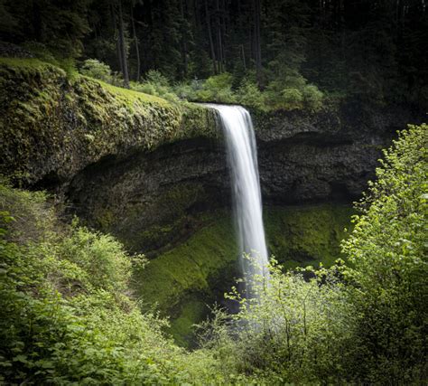 Oregon’s Rainforest Waterfalls - Bob Gibson Photography