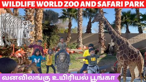 Safari Park Phoenix | Wildlife World Zoo | வனவிலங்கு உலக உயிரியல் ...