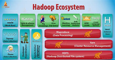 Hadoop Ecosystem - Introduction to Hadoop Components - TechVidvan