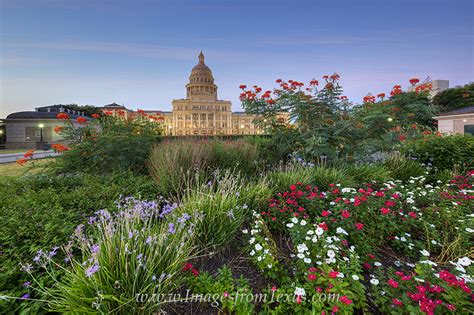 Texas State Capitol September Flowers 3 | Austin, Texas | Images from Texas