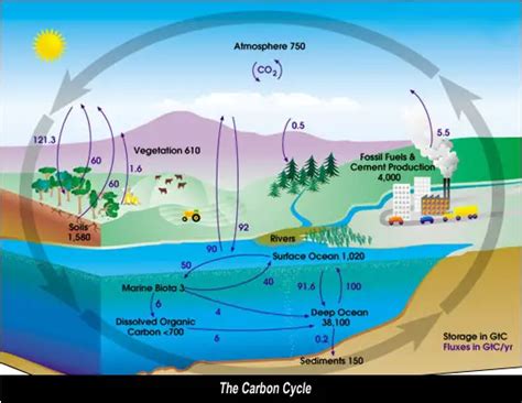 Graphs Diagrams of Global Warming and Climate - Global Greenhouse Warming