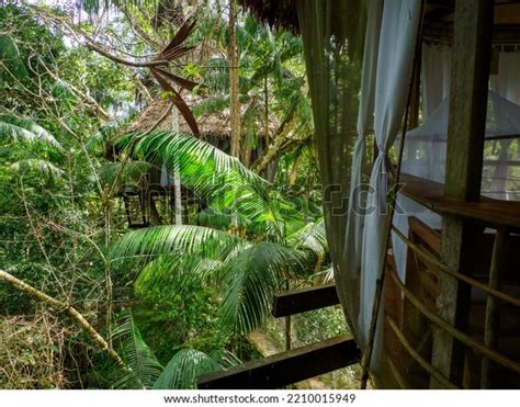 Glamping Accommodation Amazon Rainforest Wooden Treehouse Stock Photo 2210015949 | Shutterstock