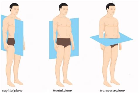 The Three Anatomical Body Planes and Movements - Sagittal, Coronal ...