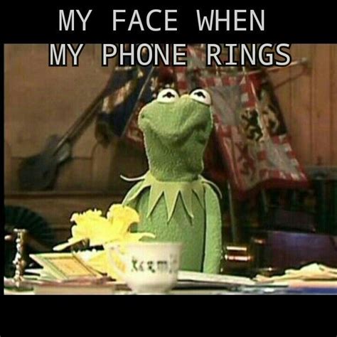 61 best images about Kermit the frog on Pinterest