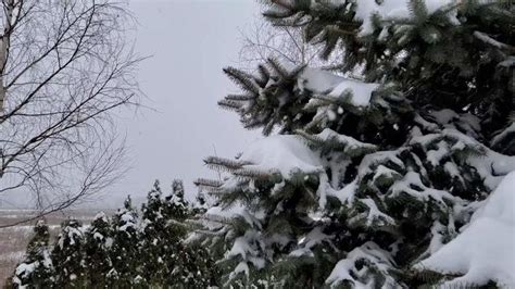 Green Screen Snow Stock Video Footage for Free Download