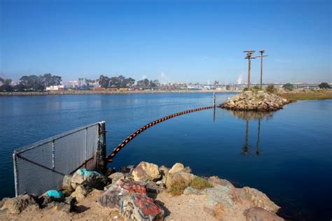 Nature in Focus: Los Angeles River | Nature and Wildlife | Discovery