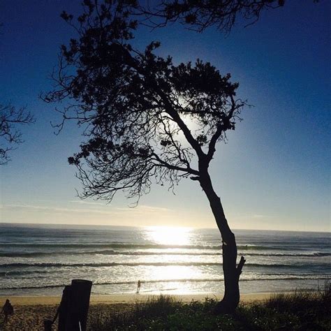 Sunrise at Coffs Harbour Park beach NSW Australia