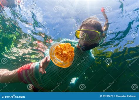 Tourist Snorkeling in Jellyfish Lake Stock Image - Image of ...