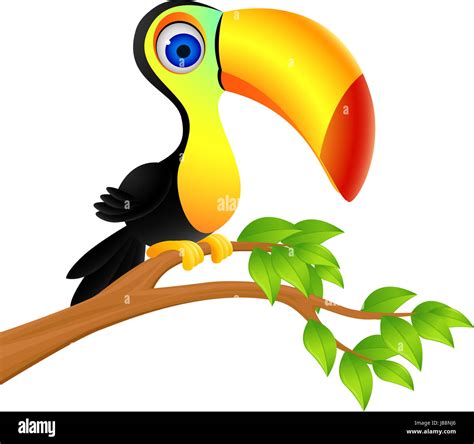 Cute Cartoon Birds Drawings