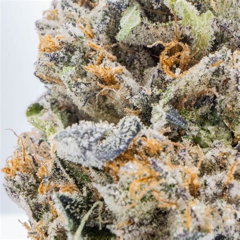 List Of Terpenes | Cannabis Terpenes And Their Effects