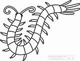 Millipede Coloring Template Pages Sketch Page sketch template