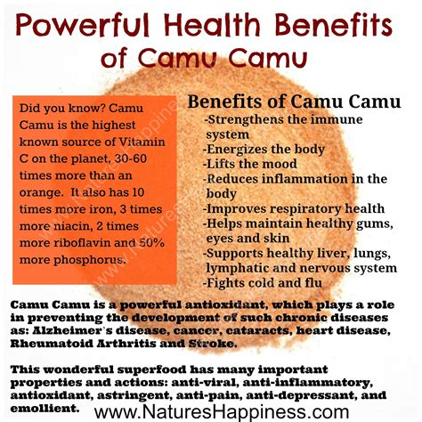 Camu Camu Powder | Fruit health benefits, Health, Health benefits