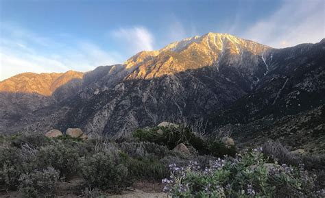 Hiking Mount San Jacinto - Marion Mountain Route - christopherkhoitran