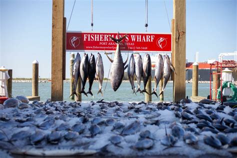 Fishing Report Port Aransas - Fisherman's Wharf Port Aransas