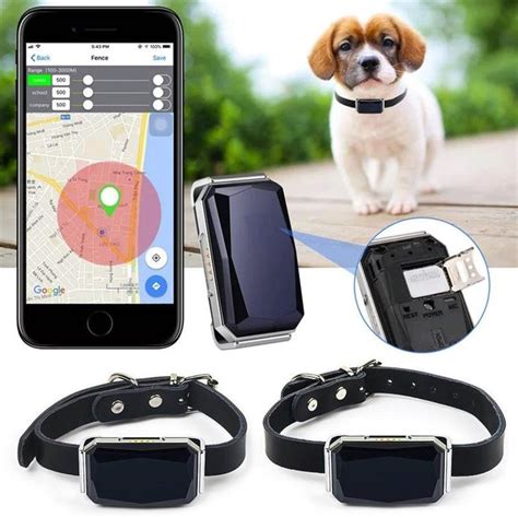 GPS Smart Universal Waterproof Location Collar For Cats And Dogs ...