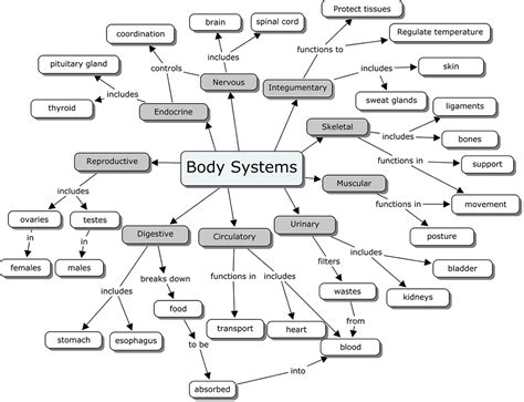 Organ Systems Concept Map