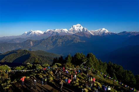 Ghorepani Poon Hill Trek Archives - Everest Sherpa Adventure