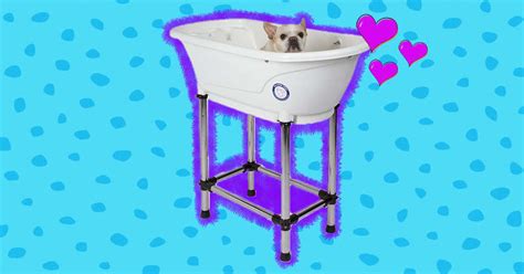 Best 4 Dog Bathtubs For Grooming At Home - DodoWell - The Dodo