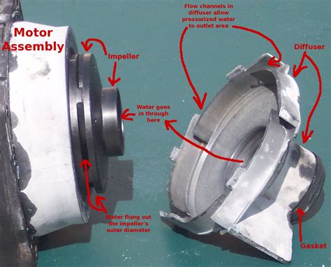 Anatomy of a Pool Pump