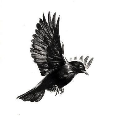 Black Bird Tattoo Designs For Men