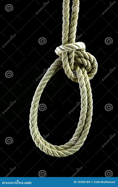 Bowline on the bight stock image. Image of ropework, knotwork - 10305189