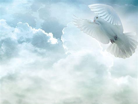 Holy Spirit HD wallpaper | Pxfuel