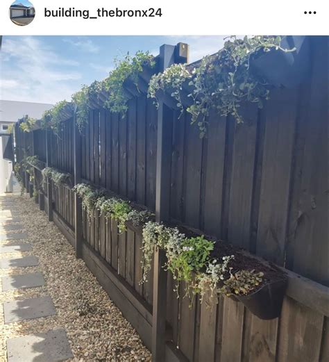 some plants are growing on the side of a fence