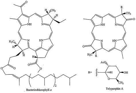 Bacteriochlorophyll A