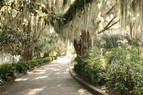 Florida State Park | Alfred B. Maclay Gardens State Park in Tallahassee FL