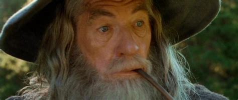 Gandalf the Grey - Fellowship of the Ring - Gandalf Photo (35160263) - Fanpop