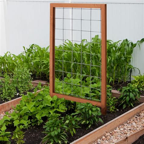 Outdoor Essentials 48 in. Wood Framed Hog Wire Trellis-309170 - The Home Depot