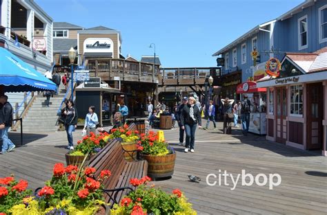 10 BEST Things to Do at Pier 39 - CityBOP