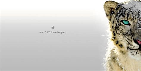 Mac OS X Leopard Wallpapers - Wallpaper Cave