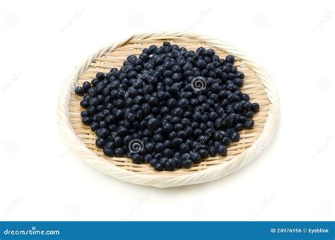 Black soybean stock photo. Image of grain, health, soja - 24976156