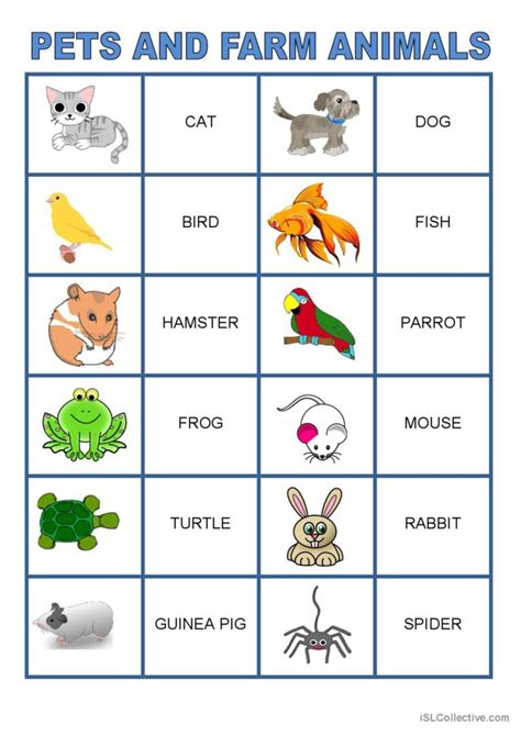 Memory - Pets and farm animals: English ESL worksheets pdf & doc