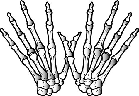 Clip Art Bones Hand Signals Png Skeleton Hands Svg Human Bones Svg Svg | The Best Porn Website