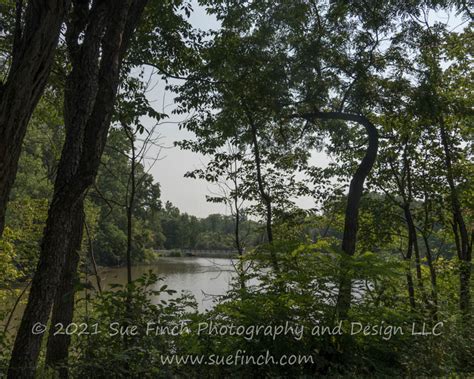 Visiting Van Buren State Park in Ohio August 2021 – Sue Finch Photography and Design LLC