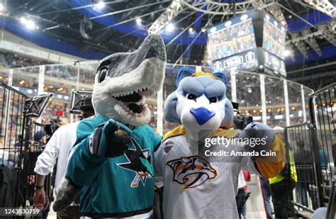 San Jose Sharks Mascot Photos and Premium High Res Pictures - Getty Images