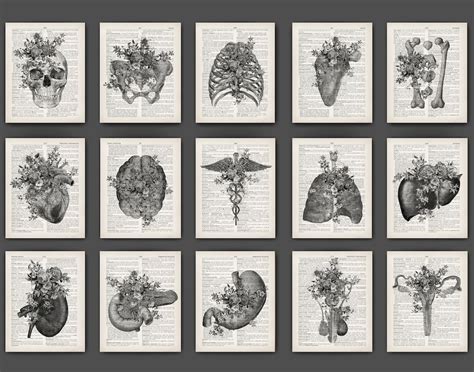 Set 15 Anatomy Artwork Black White Medical Art Dictionary Art Surgical Poster Anatomical Floral ...