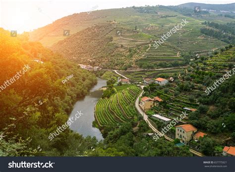 9,555 Douro Valley Images, Stock Photos & Vectors | Shutterstock