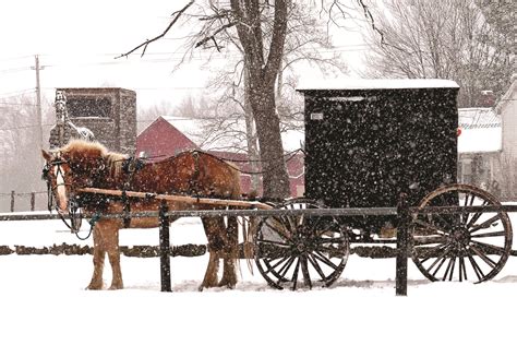 Christmas in Amish Country | Holiday Tours