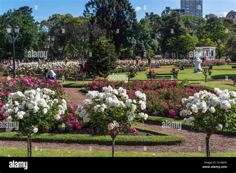 Rose Garden, Rosedal, Parque Tres de Febrero, Bosques de Palermo or ...