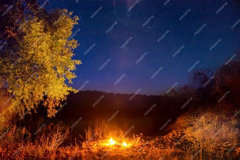 Premium Photo | Fire at night in the forest under night sky with stars