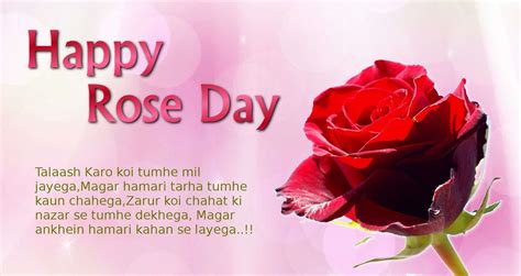 Happy Rose Day Images, Pictures & Wallpapers 2020 HD