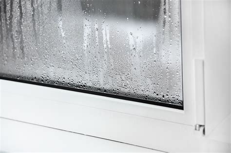 How to Stop Condensation on Windows - Efficient Windows Collaborative ...